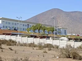 Investigación en curso tras asesinato y posible canibalismo en La Serena.