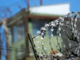 Horror en La Serena: reo asesina y canibaliza a su compañero de celda.