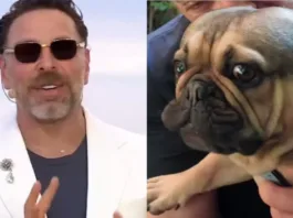 José Antonio Neme agradece el apoyo tras la grave salud de su perro.