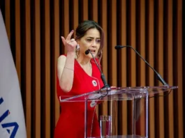 Luis Hermosilla solicita a la fiscal Lorena Parra declarar como testigo en su defensa.