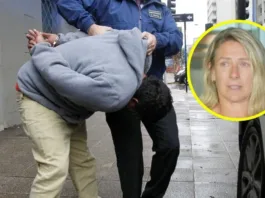 Detenido por su participación en el asalto a Macarena Tondreau en Vitacura.