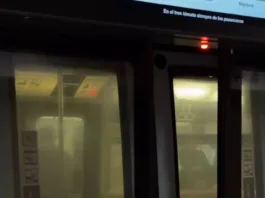 Módulos de puertas en San Pablo: seguridad y confiabilidad en el Metro de Santiago.