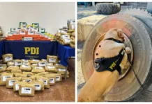 Operativo en Melipilla: 350 kg de droga incautados y seis detenidos por la BIC.