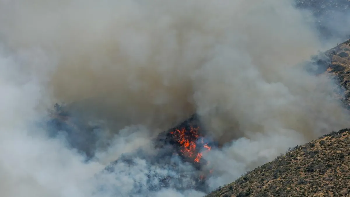 Incendios forestales en la Reserva Ñuble: Alerta Roja en Antuco.
