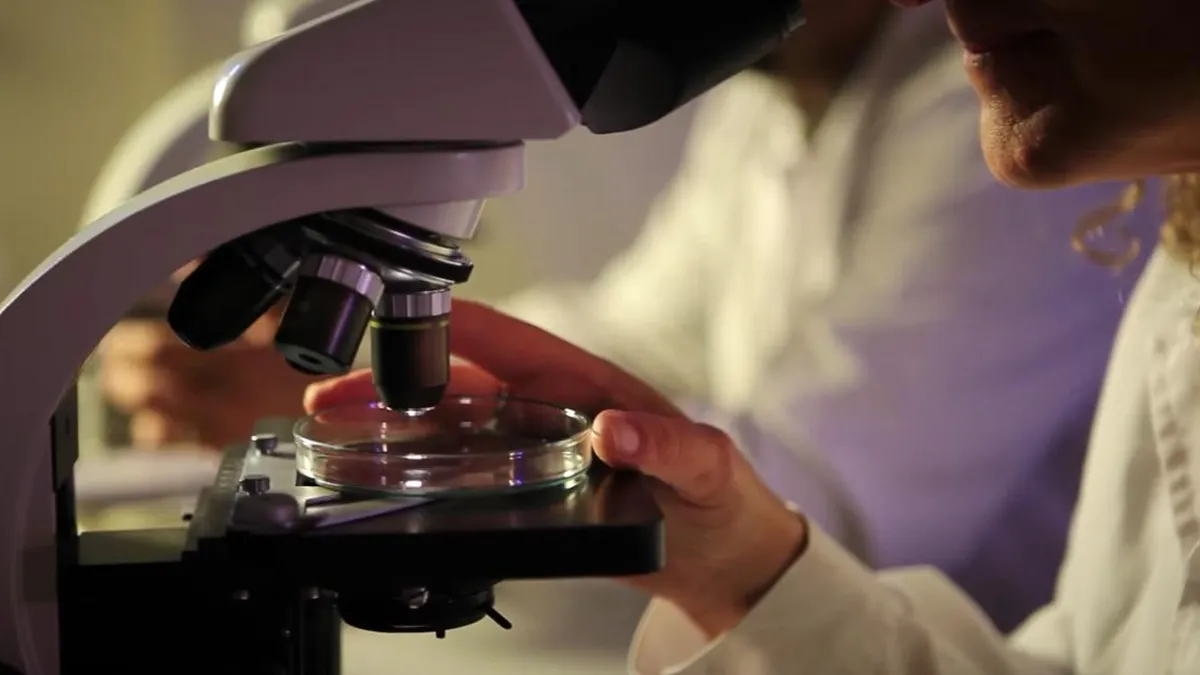 La UST destaca con 4 proyectos Fondecyt 2026