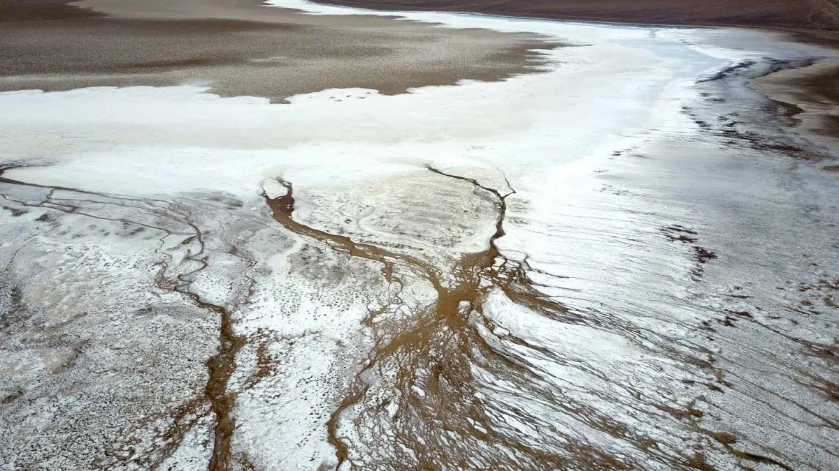 Albemarle lanza proyecto de litio de $3.100M en Atacama