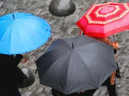 Alejandro Sepúlveda actualiza el pronóstico de lluvias para la Región Metropolitana.