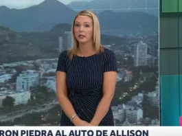 Allison Göhler advierte sobre peligros en la carretera tras un incidente con una piedra.