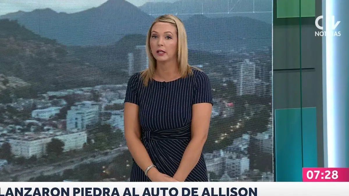 Allison Göhler advierte sobre peligros en la carretera tras un incidente con una piedra.