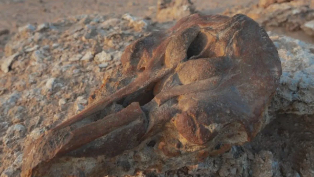 Estudio revela la rica historia paleontológica de Atacama y su primer dinosaurio.