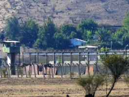 Carla Fernández colabora en proyecto de ley para penas alternativas a internos geriátricos.