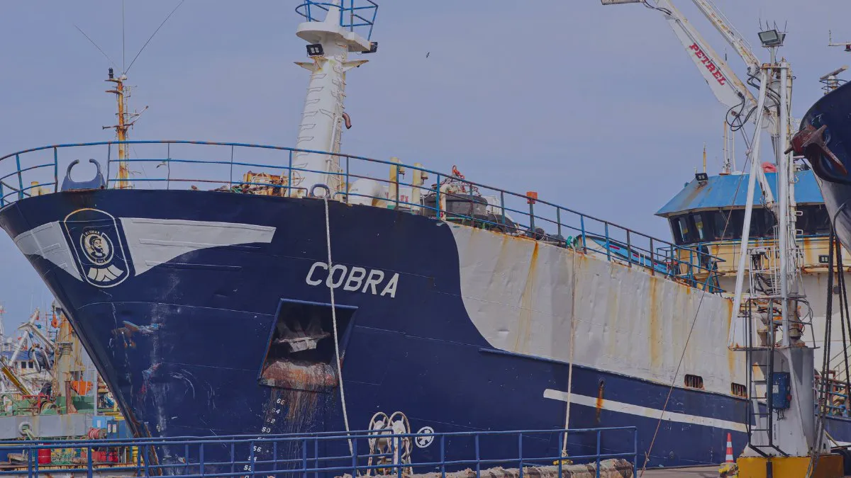 Testimonios revelan choque en el Caso Bruma; Fiscalía intensifica la investigación.