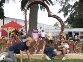 Jóvenes innovan en Expomimbre 2026 con máscaras de animales de mimbre y cultura pop.