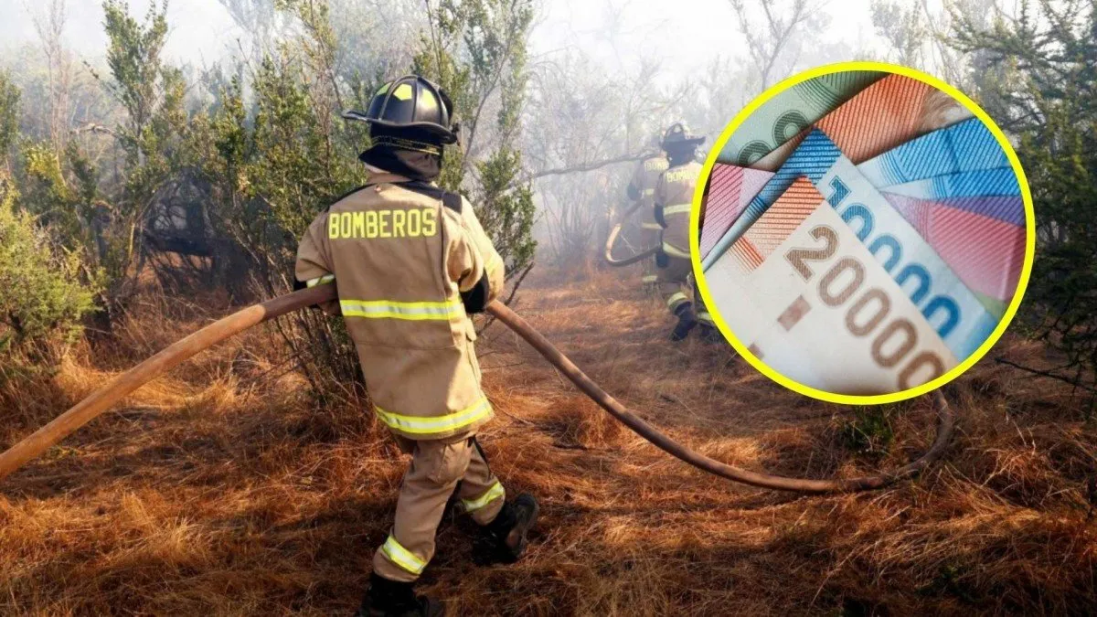El Cuerpo de Bomberos de Limache lucha por acceder a $236 millones de herencia.