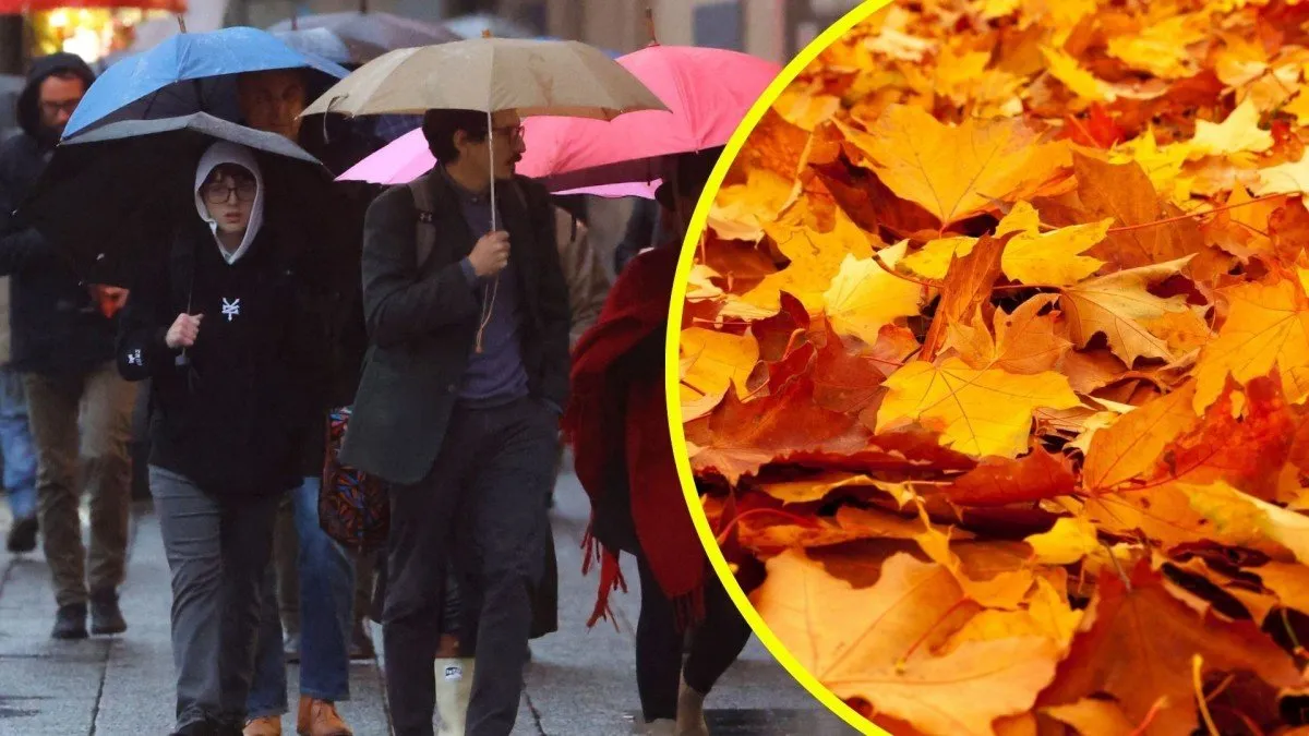 Pronóstico estacional de la DMC: un otoño cálido y lluvias variables en Chile.