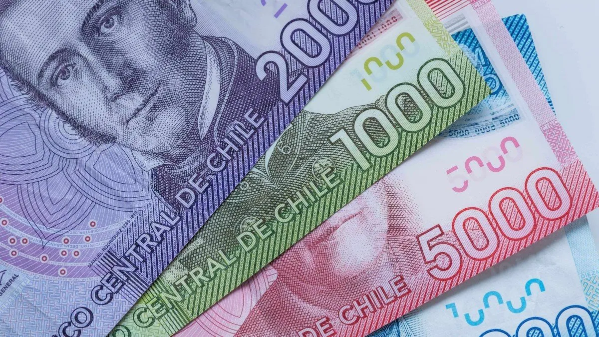 Beneficios económicos del Estado: subsidios y bonos para familias con requisitos.