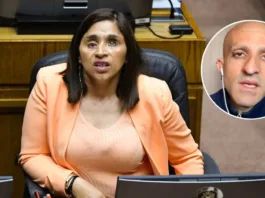 La senadora Fabiola Campillai condena la violencia política tras el ataque a Rojas Vade.