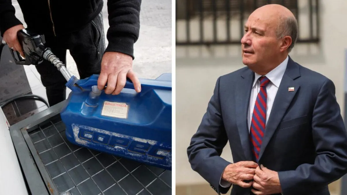 El Gobierno propone medidas para mitigar el alza de precios de combustibles.