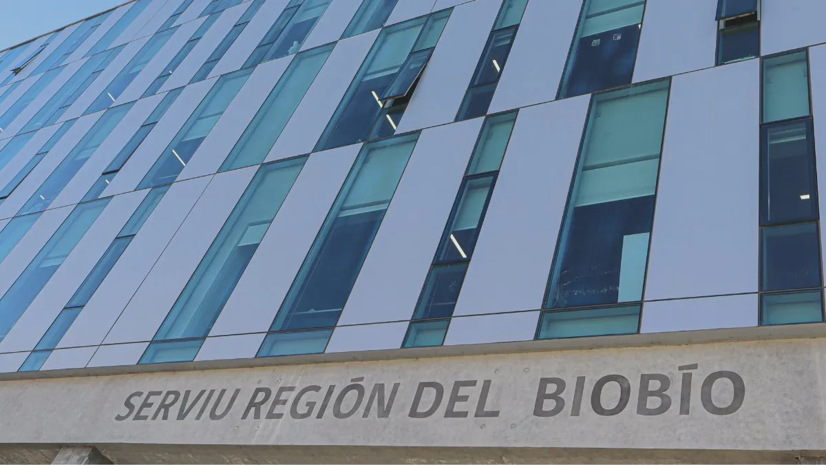 Gonzalo Cofré Hube renuncia tras escándalo en Instagram sobre damnificados por incendios.