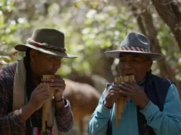 "Huellas y Memorias": Nuevos capítulos sobre la rica cultura indígena de Chile.