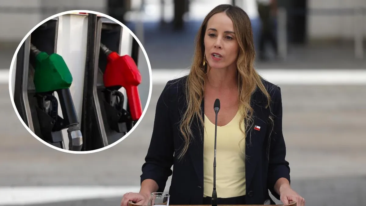 Mara Sedini defiende el alza de combustibles por crisis internacional y fiscal.