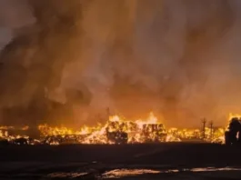 Incendio en "Papeles Cordillera" moviliza a 200 bomberos y suspende clases en Puente Alto.