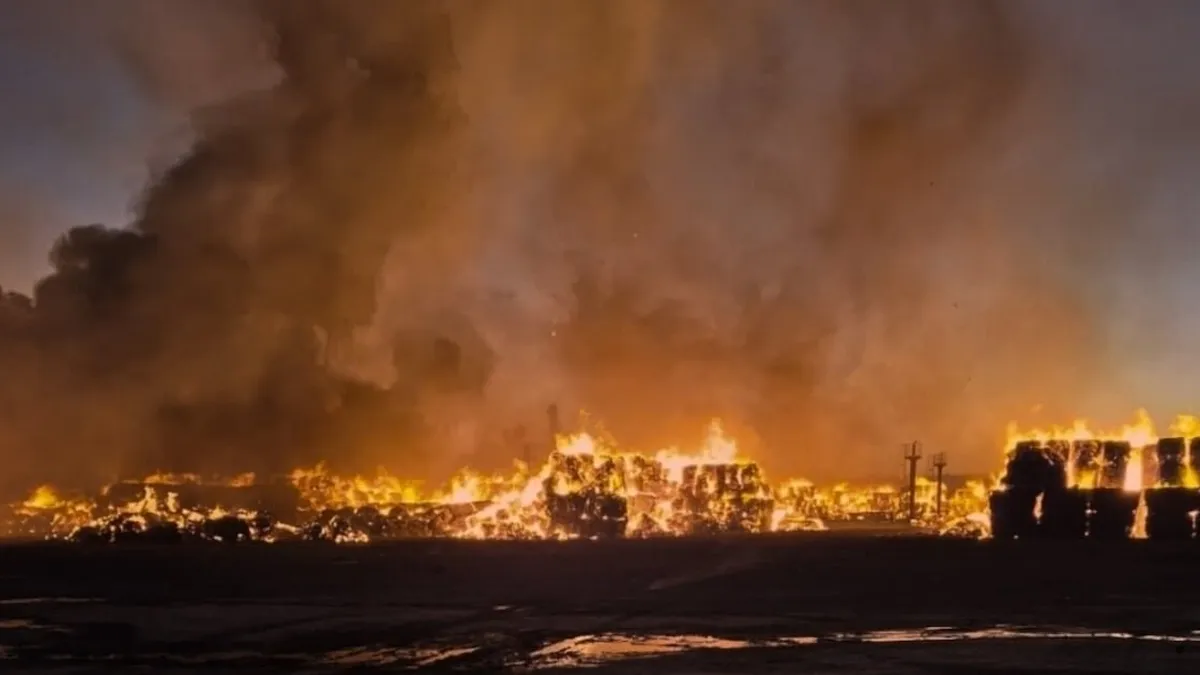 Incendio en "Papeles Cordillera" moviliza a 200 bomberos y suspende clases en Puente Alto.