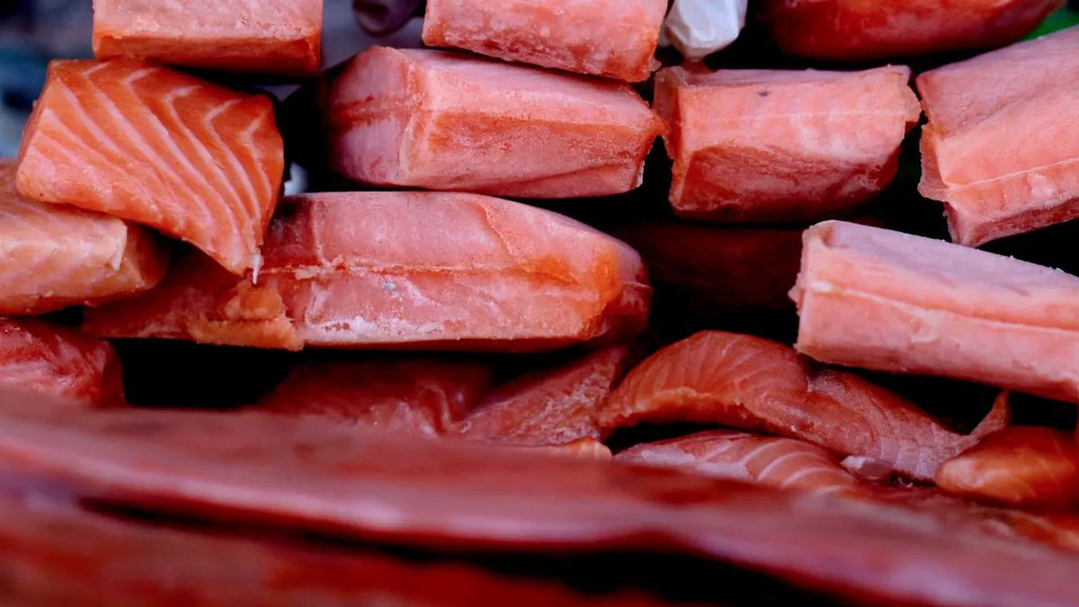 Robo de salmones afecta a 23 mil estudiantes en Chiloé