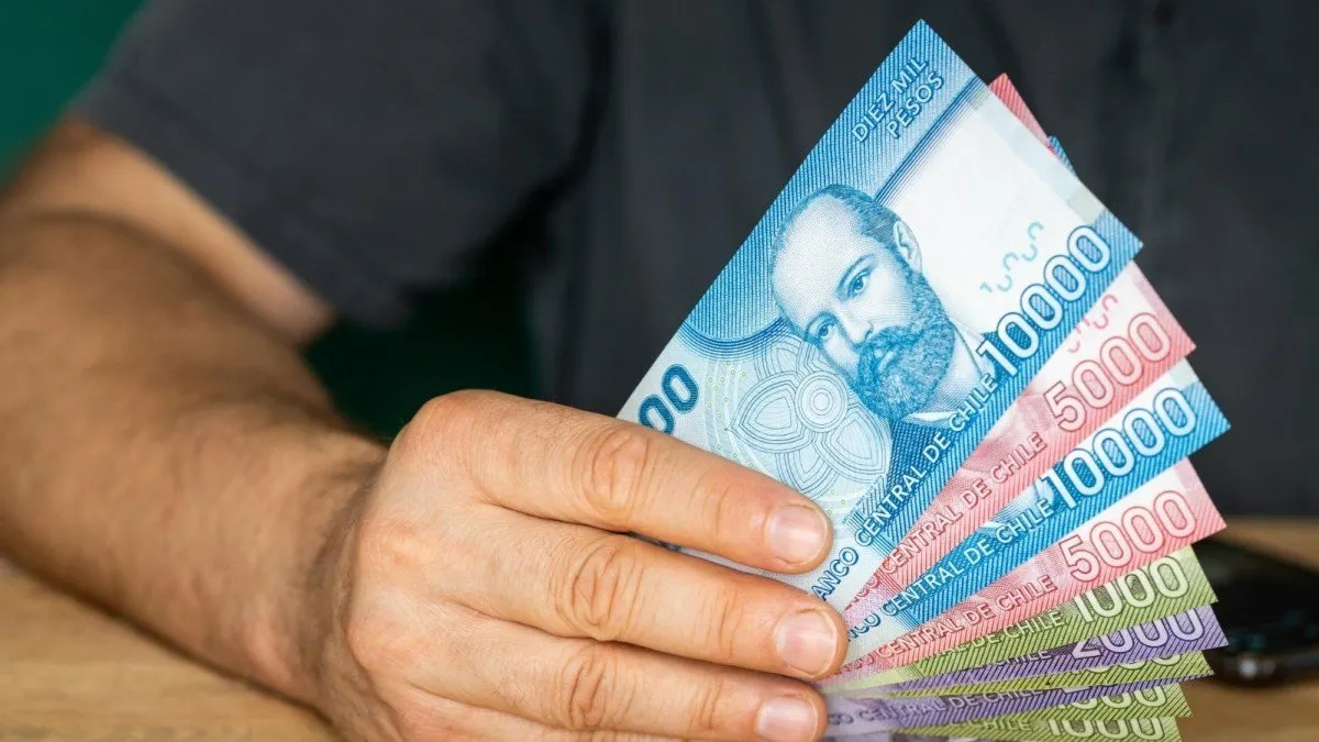 Beneficios para cesantes: Seguro