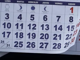 Susana Jiménez propone eliminar feriados irrenunciables; Kast lo evalúa.