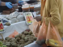 Plan conjunto para frenar el alza de alimentos en Chile ante el aumento de combustibles.