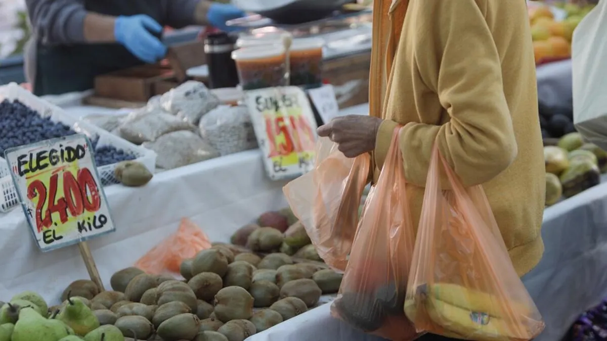 Plan conjunto para frenar el alza de alimentos en Chile ante el aumento de combustibles.