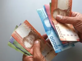 Bono de Invierno: $81.257 para adultos mayores con requisitos específicos.