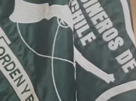 Carabinero frustra robo en bus