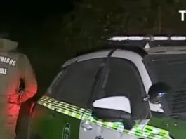 Hombre se esconde en un árbol y es arrestado por Carabineros en La Araucanía.