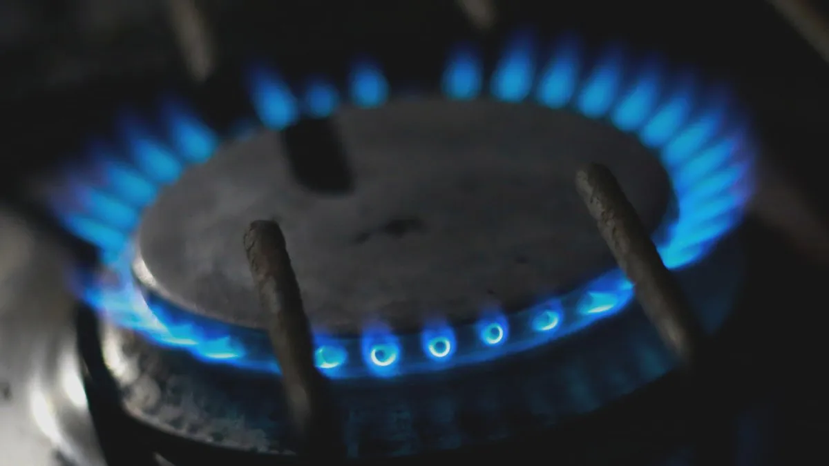 El ministro Claudio Alvarado presenta el nuevo subsidio para gas licuado.