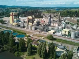 Tragedia en CMPC: trabajador fallece tras accidente en planta de Laja.