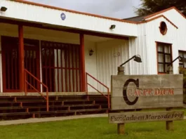 Incidente en Colegio Carpe Diem: alumno quema rostro de compañera