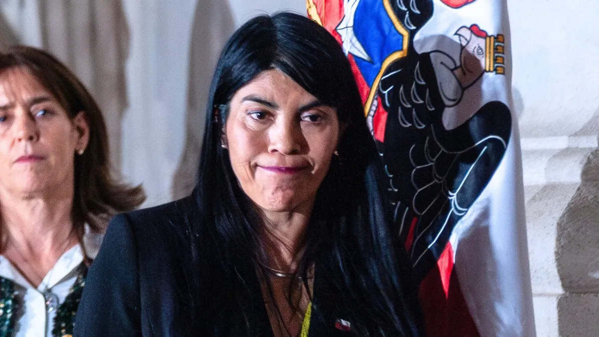 Egon Montecinos denuncia agresiones racistas a la ministra Ximena Lincolao.