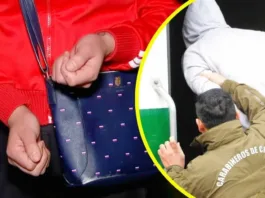 Madre frustra intento de secuestro de su hijo en Lo Espejo; hombre detenido.