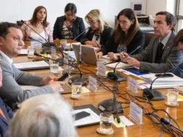 El ministro Rabat informa sobre 28 solicitudes de indulto en el Senado.