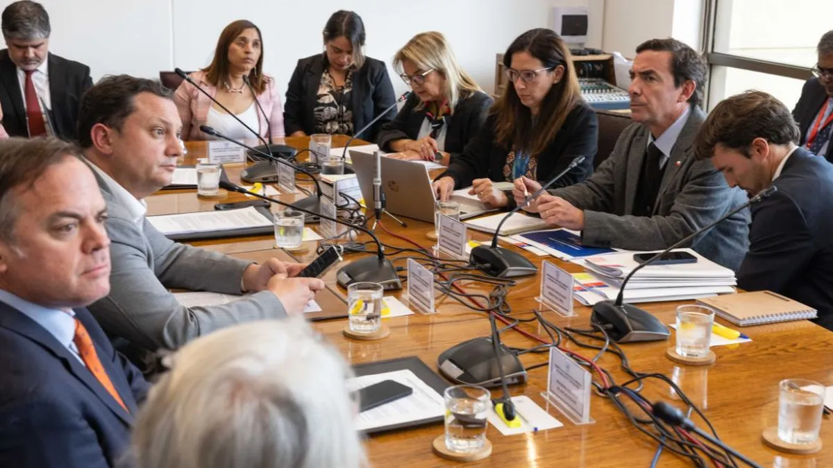 El ministro Rabat informa sobre 28 solicitudes de indulto en el Senado.