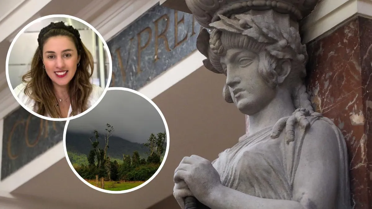 La Corte Suprema niega restitución de tierras a comunidad indígena en Puyehue.