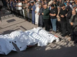 Seis palestinos muertos en Gaza por ataques israelíes; total de 780 desde el 10 de octubre.