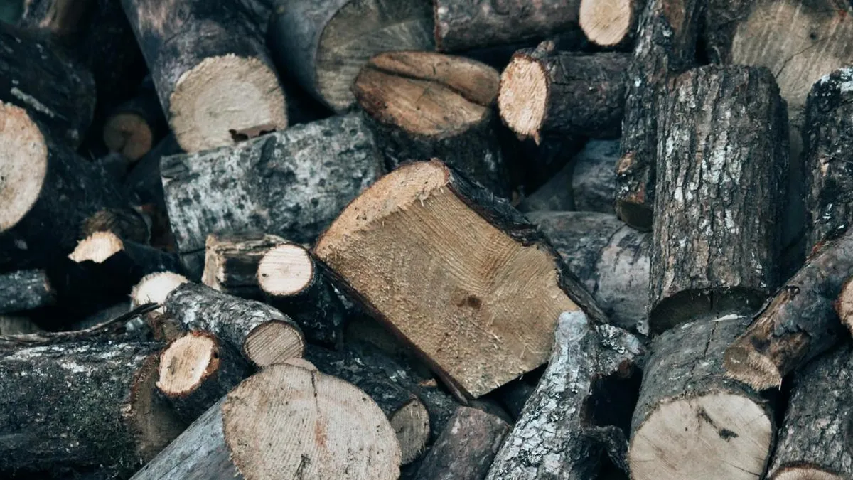 Aumento de costos en el gremio de la madera por alza del combustible.