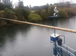 El diputado Guillermo Valdés propone extender la regularización de derechos de agua.