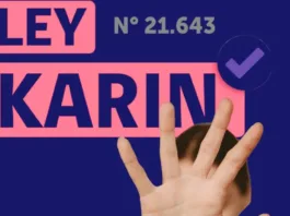 Gustavo Rosende defiende la Ley Karin ante críticas por protección a víctimas.