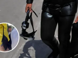 Tragedia en Los Lagos: hantavirus afecta a trabajadores de embarcación.