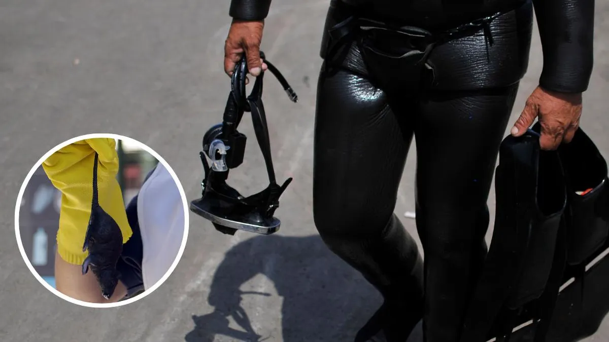 Tragedia en Los Lagos: hantavirus afecta a trabajadores de embarcación.