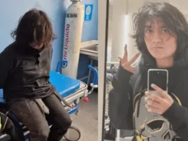 Hernán Meneses Leal